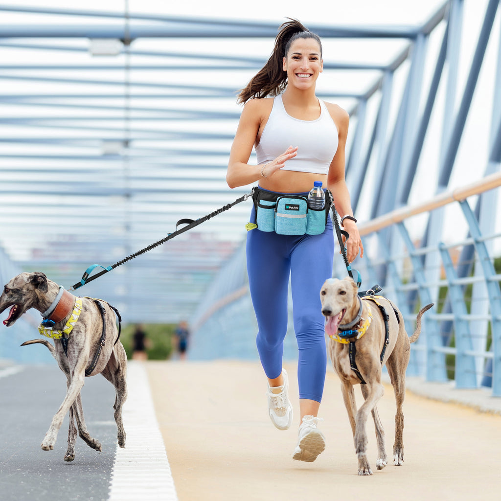 PetAmi Premium Hands Free Dog Leash for 2 Dogs, Adjustable Waist Belt Leash for Dog Walking, Fanny Pack Accessories Bag Dual Bungee Leash for Running, Hiking, Jogging, Biking, Charcoal Grey