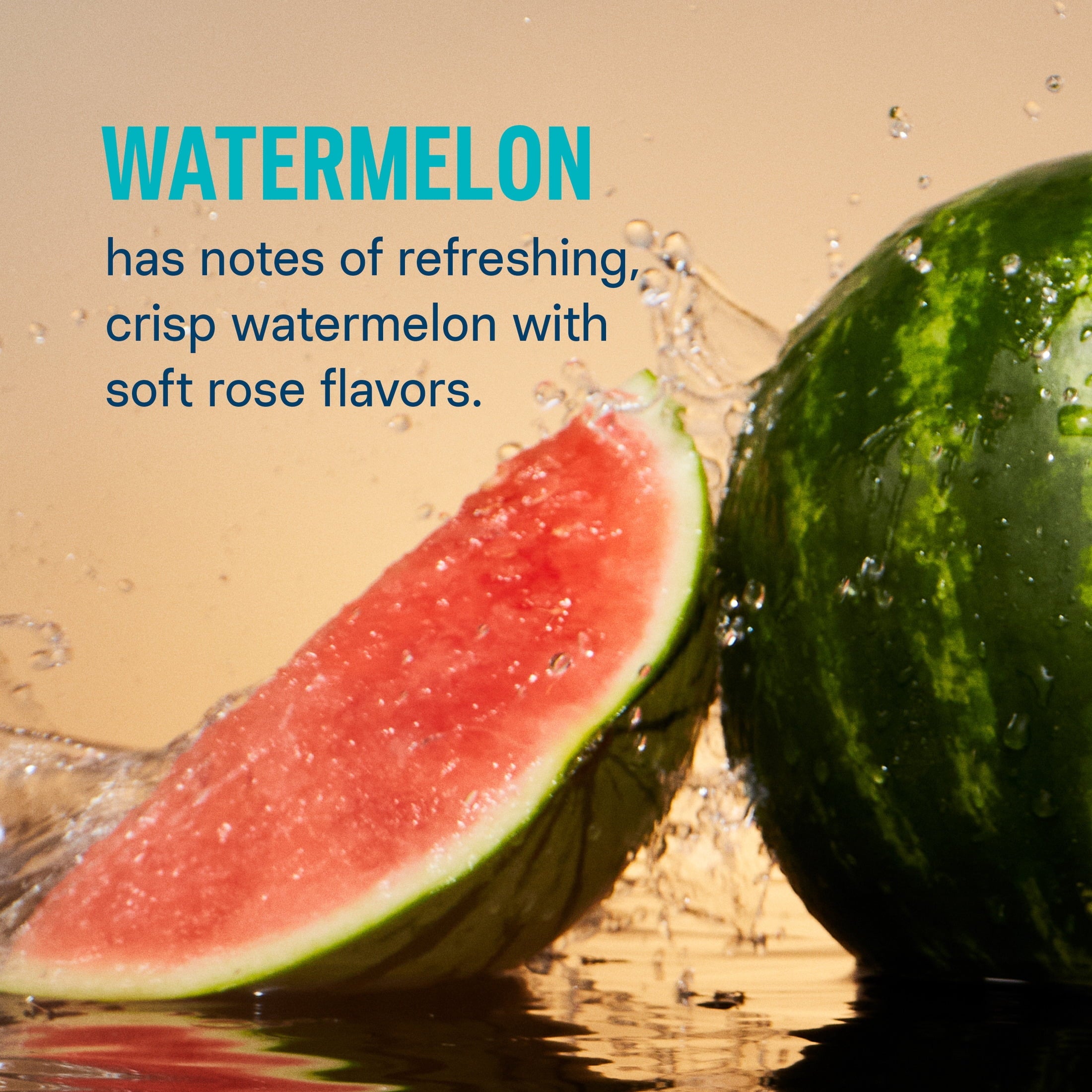 Liquid I.V.® Watermelon Hydration Multiplier® Powdered Electrolyte Drink Mix, 6 Count Packets