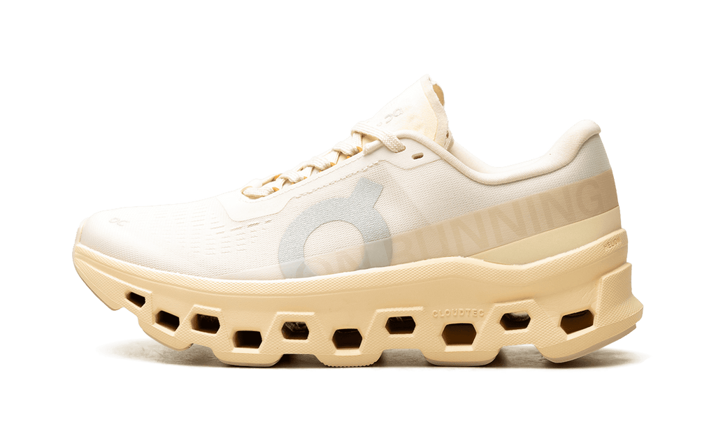 ON RUNNING WOMENS Cloudmonster 1 Womens "Goby Lily" 3WF30484910 3WF30484910 from Stadium Goods